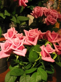 스윗모카의 Foodie Life~