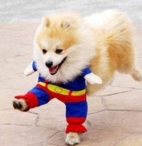 날이면 날마다 오진 않는 블로그