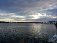 네잎클로버를 찾아 나선 여행자