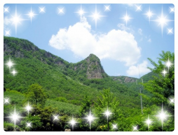 프로필