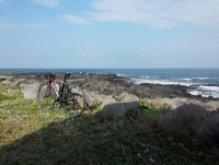 질풍! 청춘의 시기