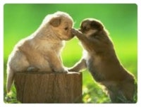 마음 속에 작은 행복을 찾아서..