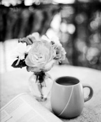 식도락(食道樂) 유목민