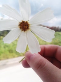 똥키의 일상 블로그!!!