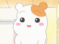 챙님의 맛집 기록