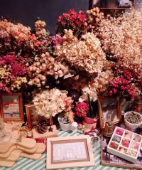 척척박사가 될래요