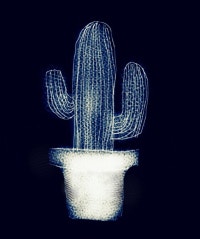 [부산식물나라와선인장]