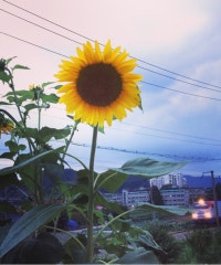 힘내요 밍디♥