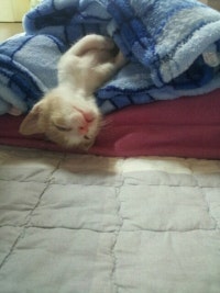 mr.승샤인♡ 똑똑이 승이네