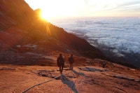 방배동반달곰의 blog