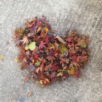 빵시리's daily Life