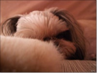 부엉 부엉 별...