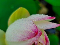 너의 마음이 궁금해져