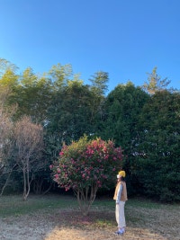 뽀송이의 메모장