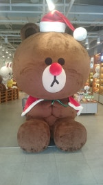 Loki의 리뷰 창고