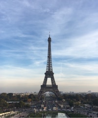 모든 요일의 기록