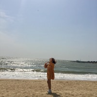 밍밍한 일상 블로그