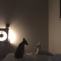 나름 바쁜 집순이☾