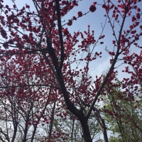 아름다운 조각들