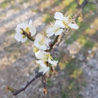 맛집 눌러담은 행복한 여행일기