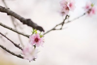 키덜트의 언아더데이