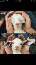 열정적인 부산 젊은이