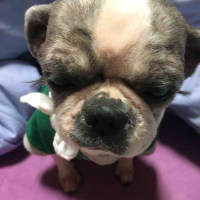 카리니의 육아일상