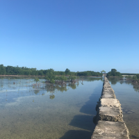 대맹's Happy place