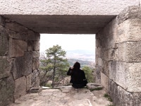 놀고 먹고 돌아다니기