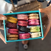 [냉정과 열정사이]