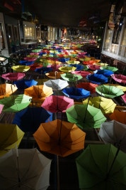 매튜리의 일상 (고양이짤/캠핑이야기)