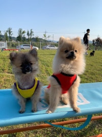 ♥♡미럭키네 행복한 하우스♡♥