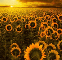 '주e'의 스토리❤