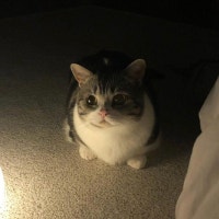 ❤봉숭아 월드 ◕‿◕✿