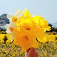 부드럽지만 힘있게