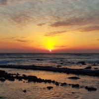 소풍 길에서 만나는 것들