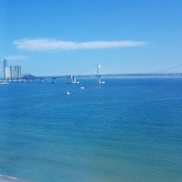 최코치's 부산수영개인레슨