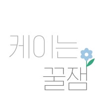 K케이:케이는 꿀잼