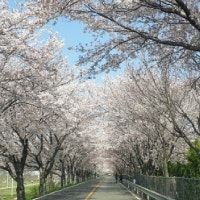 강린즈데이Gangrin's Day