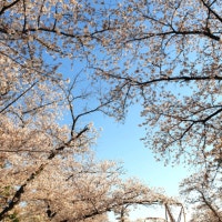 맛있는 여행 그리고 시간