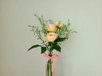 박짱구네이야기:)