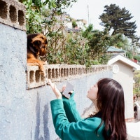 세상에서 제일 큰 기적... 밍기적...