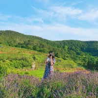 자몽이의 먹고 여행하기