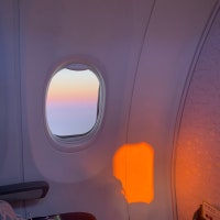 세상 참 맛있다, 먹어야 사는 영이