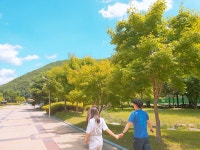 Daily쉐어하우스