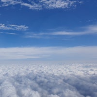 신혼 일상 블로그