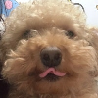 피넛누나의 기록쨩