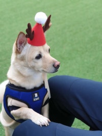 떠나고 느끼고 즐기고