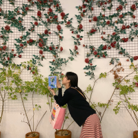 놀러다니는 잠숲강