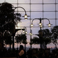 플로레센스의 찬란한 하루